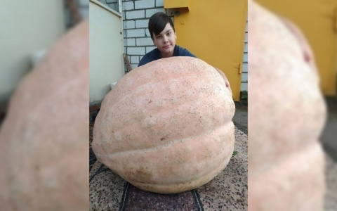 Чебоксарский школьник вырастил гигантскую тыкву и рассказал секрет успеха