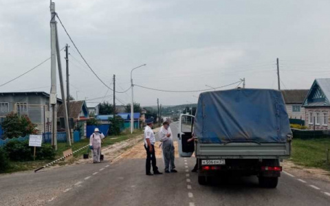 В 15 деревнях Чувашии из-за африканской чумы у сельчан заберут свиней