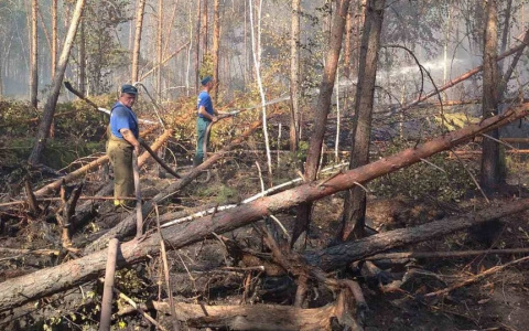 Спустя неделю пожар в Присурском заповеднике полностью потушили