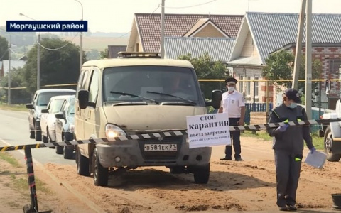 После вспышки африканской чумы жителям карантинных сел разрешат разводить свиней только через год