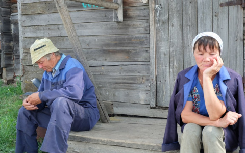 Расстроенные сельчане об африканской чуме: "Это просто кому-то выгодно"