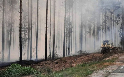 Из-за лесного пожара в Марий Эл  перекрыли дорогу от Кокшайского кольца