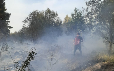 В Чувашии местные жители вместе со спасателями потушили пожар: горели кустарники и сухая трава