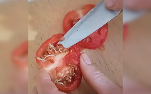 Чебоксарка купила в "Пятерочке" помидоры с сюрпризом