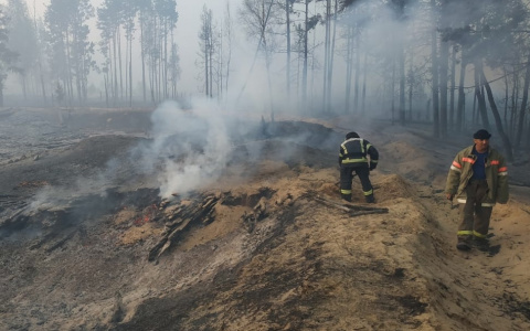 В Марий Эл продолжают гореть 54 гектара лесов: тушат 4 вертолета