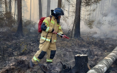 В Марий Эл площадь лесного пожара значительно сократилась