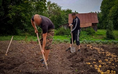 Чувашские омоновцы выкопали картошку родителям погибшего товарища