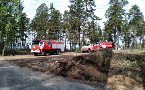 Перекрытую из-за пожара в Марий Эл дорогу от Кокшайского кольца открыли