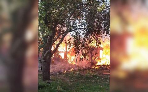 Пожар рядом с Новочебоксарском тушили огнеборцы и ДПС