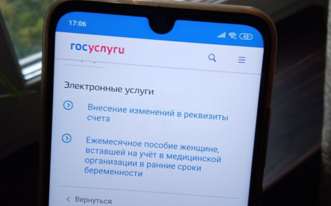 Жители Чувашии стали чаще пользоваться «Госуслугами»