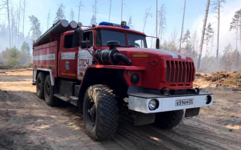 Несмотря на дождливую и прохладную погоду, чувашские леса остаются под угрозой