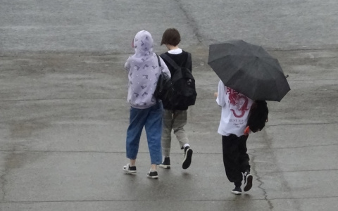 Осенний прогноз на неделю в Чувашии: когда пик похолодания