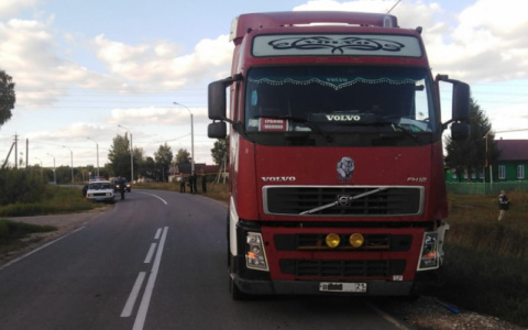 Пьяный водитель грузовика сбил велосипедиста насмерть в Порецком районе