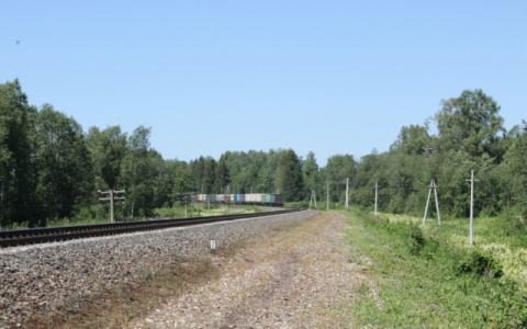 В Чувашии на железнодорожных путях погиб молодой мужчина