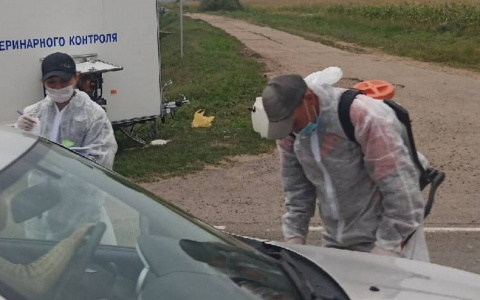 В одном из районов Чувашии два месяца действовал карантин по бешенству у мусорных баков