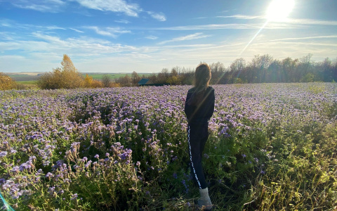 Какой осенний месяц может еще побаловать жителей Чувашии теплой погодой