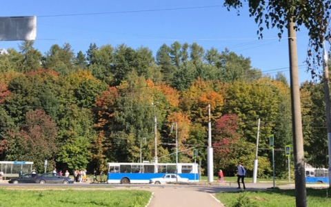 В Чебоксарах введут ограничение скорости на ключевых магистралях города