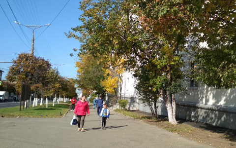 Бабье лето в Чувашии будет, но всплеск тепла окажется мимолетным