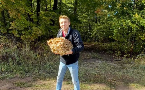 Чебоксарец нашел редкий гриб