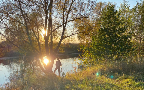 После заморозков и дождей в Чувашию придет настоящая золотая осень