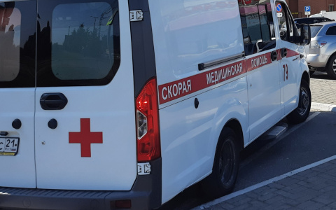 В веревочном парке Канаша пострадал ребенок: предприниматель заплатил 200 тысяч рублей