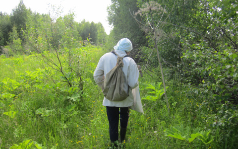 В Чебоксарском районе спасатели до ночи искали пропавшую женщину