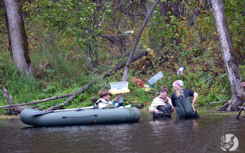 В Чувашии ловят выхухоль, чтобы восстановить ее исчезающий вид