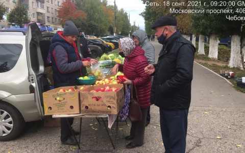 Овощи, грибы, мед, клюква: что и за сколько предлагают на осенних ярмарках в Чебоксарах