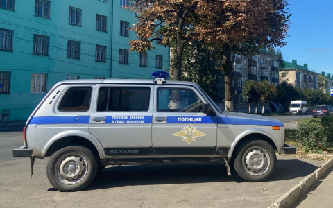 Жительница Чувашии ударила в живот женщину-полицейского и накинулась на ее напарника