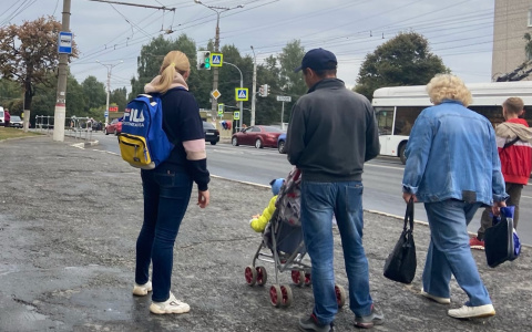 Оформление каких пособий могут упростить в 2022 году