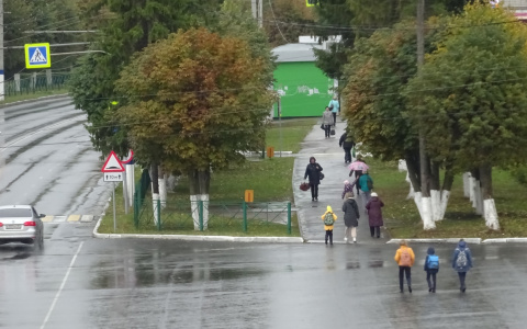 Заработала горячая линия Всероссийской переписи населения