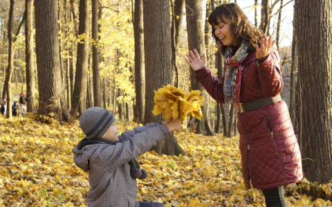 Девам звезды сулят доход, а Львы найдут себе единомышленников