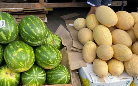 Житель Чувашии оформил прописку четверым иностранцам за арбузы и дыни