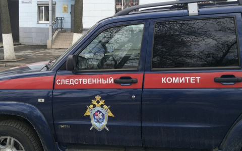 В Чувашии 30-летний сельчанин в течение месяца избивал несовершеннолетнюю сожительницу