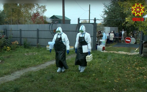 В Ядринском районе закрыли село: ветеринарные службы провели учения
