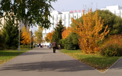 В Чувашию придет вторая "золотая осень" с солнцем, теплом и комфортной погодой