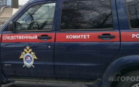 В Чебоксарском районе женщина после ссоры с мужем убила свою трехлетнюю дочь