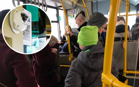 Чувашию готовят к биометрической оплате проезда в транспорте: заплатить можно будет взглядом