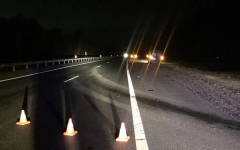 Пассажир по пути из Москвы в Чувашию  умер под колесами иномарки