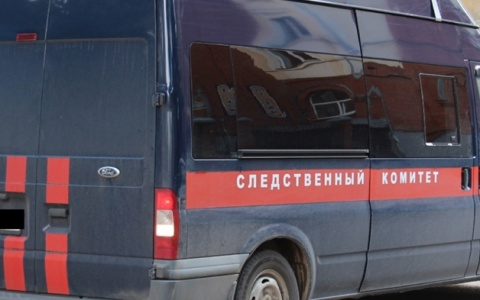 Две жительницы Чувашии напоили знакомого и угнали его машину