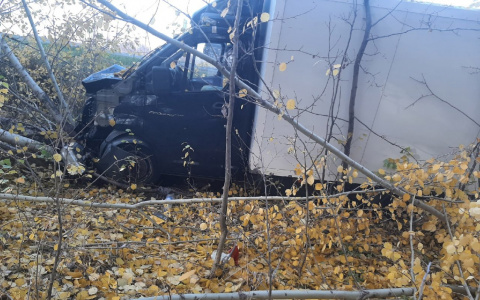 В Чебоксарском районе ГАЗель вылетела с дороги в кювет