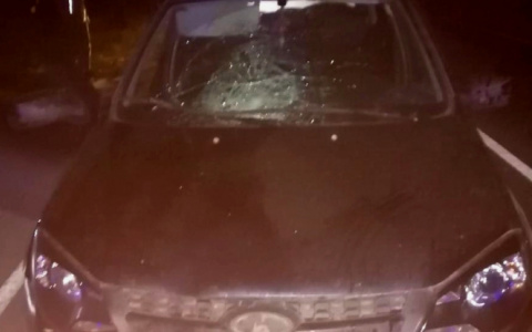 В Красночетайском районе водитель "Лады" не заметил идущую в темноте женщину: пешеход погиб