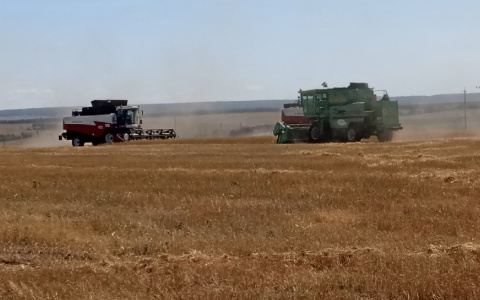 В Чувашии отменили режим ЧС, связанный с гибелью урожая