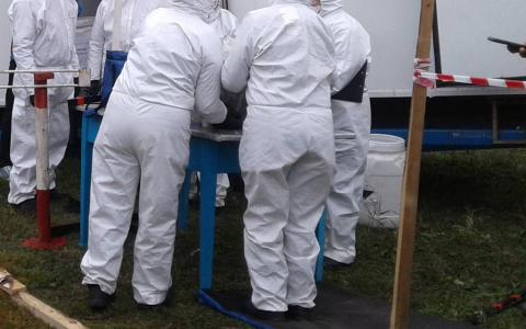 В Козловке ввели карантин из-за зараженной свинины