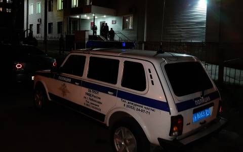 В Чебоксарах дорогие часы и рюкзак привлекли двух грабителей с газовым баллончиком