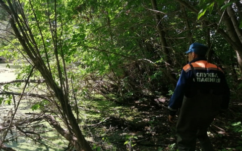 «Билайн.Поиск»: решение на основе BigData, которое поможет искать людей