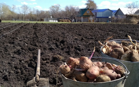 Ежемесячно сельским специалистам в Чувашии выплачивают компенсацию в 1200 рублей: как ее получить