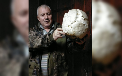 Житель Чувашии нашел в лесу огромный гриб: хватило, чтобы накормить семью и раздать родственникам