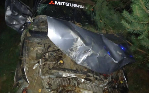 В Шумерлинском районе иномарка вылетела в кювет: в аварии сильно пострадал водитель