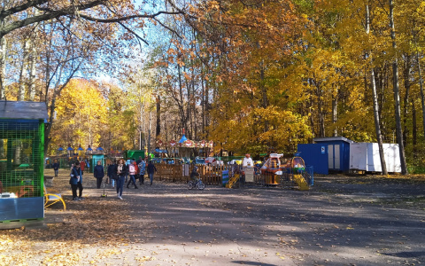 Власти Чувашии собираются ввести новые ограничения на период длинных выходных
